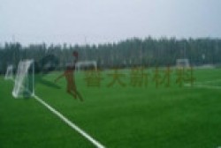 湖北塑膠跑道的優(yōu)勢(shì)